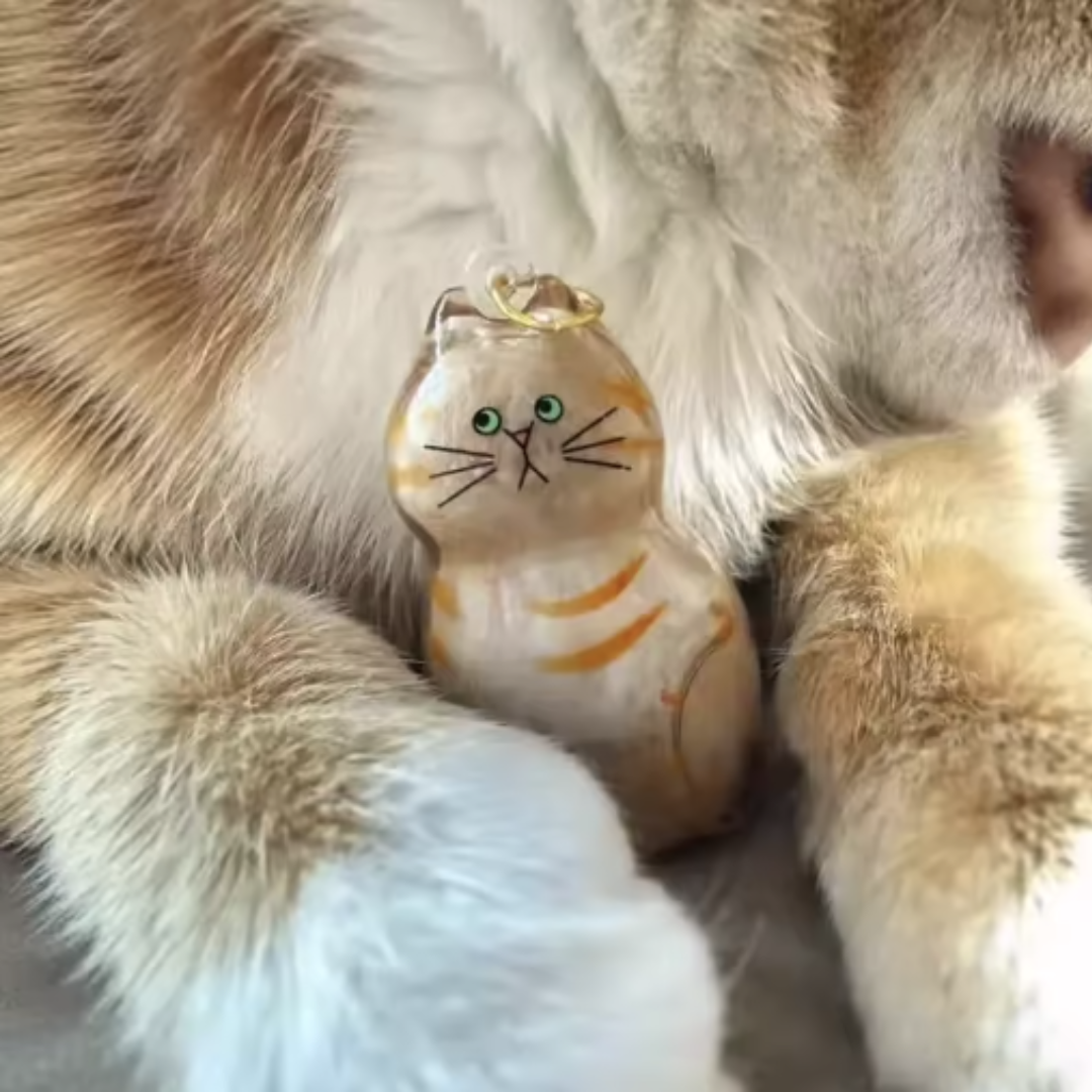 Llavero de mascota rellenable